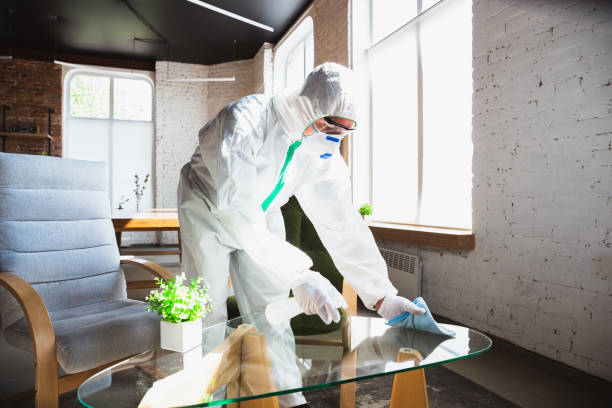 Why You Should Choose Our Mold Remediation Services in Taneytown, MD